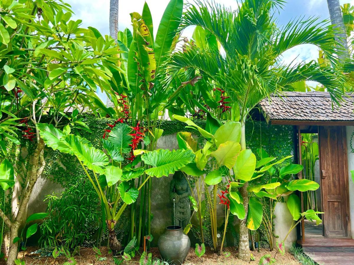 Jati Kuta Lombok Hotel Buitenkant foto